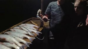 Рыбалка на Станьях. Улов Алексея (крупный жерех 3.2-3.4кг).