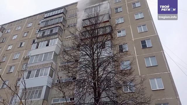 Трагедия в Златоусте: мужчина погиб при пожаре, эвакуированы 11 человек смотреть онлайн