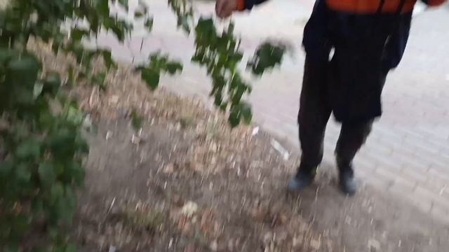 13 серия 3 сезона МАЗАДРИЛА "план"