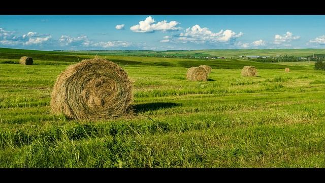 Александр Максаев. Экзамен смотреть онлайн