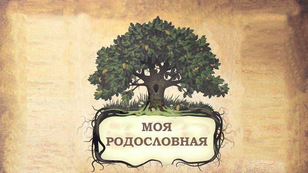 Генеалогическое древо смотреть онлайн
