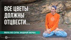 КАРМА, часть 1. Все цветы должны отцвести. Андрей Верба