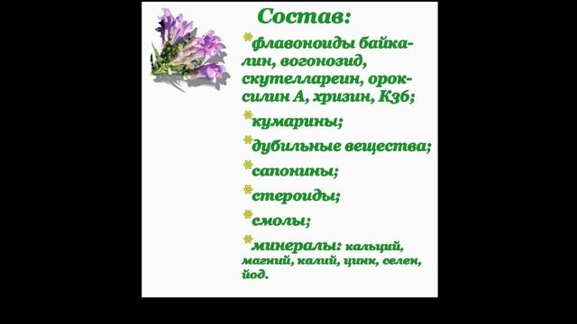 Шлемник байкальский Лечебные свойства смотреть онлайн