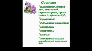 Шлемник байкальский Лечебные свойства