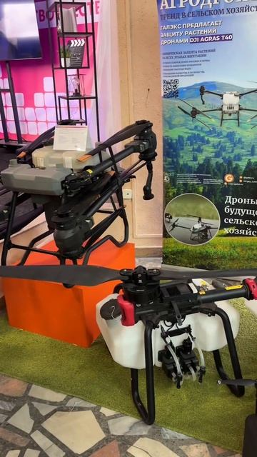 Форум «ИТ трансформация 2025: профессионалы цифрового будущего» в АлтГУ смотреть онлайн