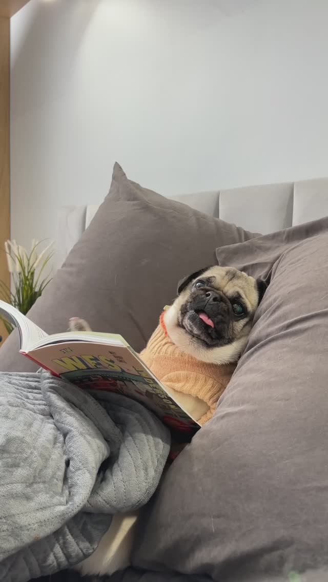 ДЖОНИ ЖЕСТКО ПОДСТАВИЛ ОСКАРА 😨 смотреть онлайн