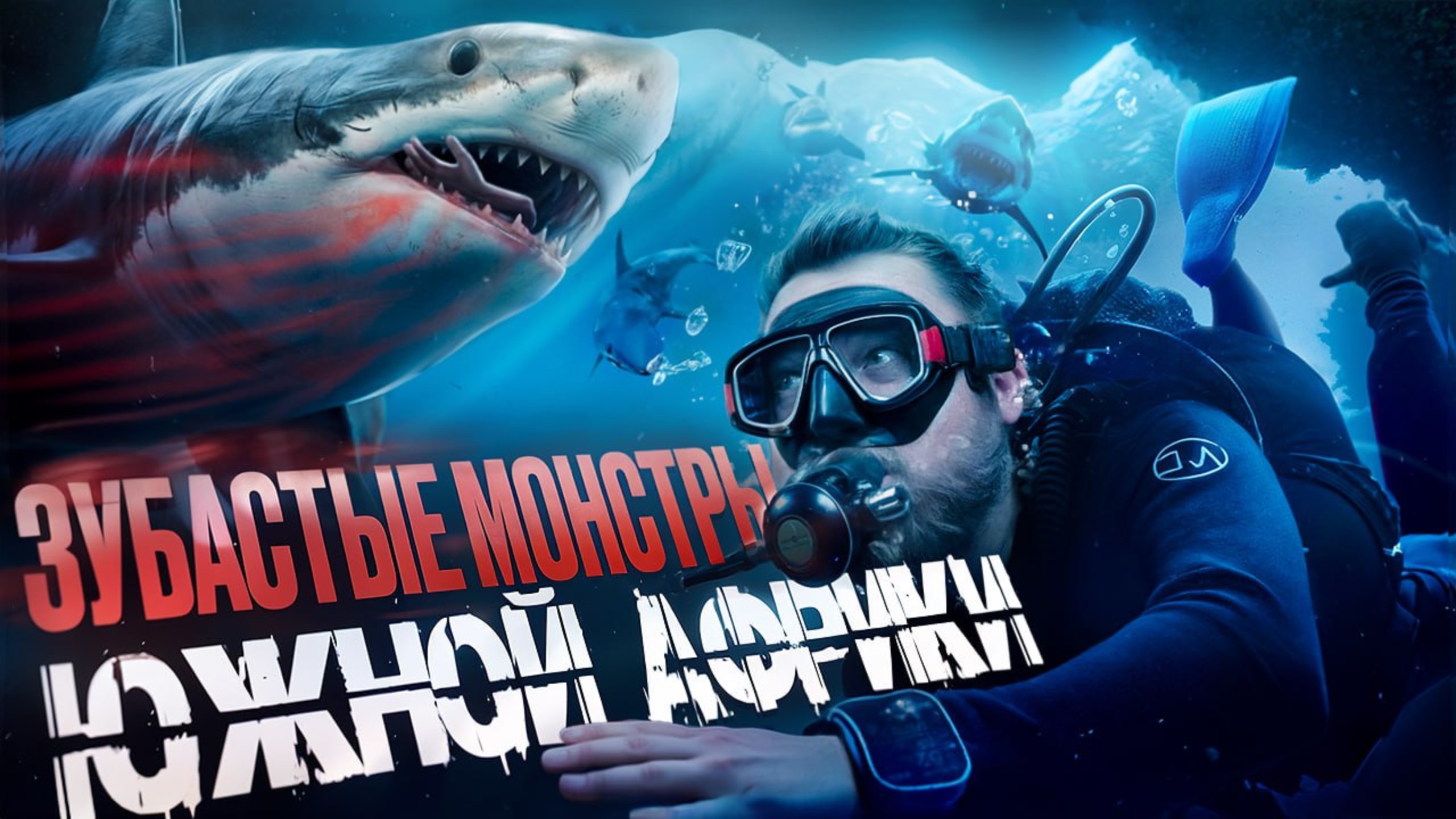 Дайвинг с акулами в ЮАР: уникальное погружение в подводный мир Aliwal Shoal