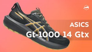 Кроссовки ASICS Gt-1000 14 Gtx