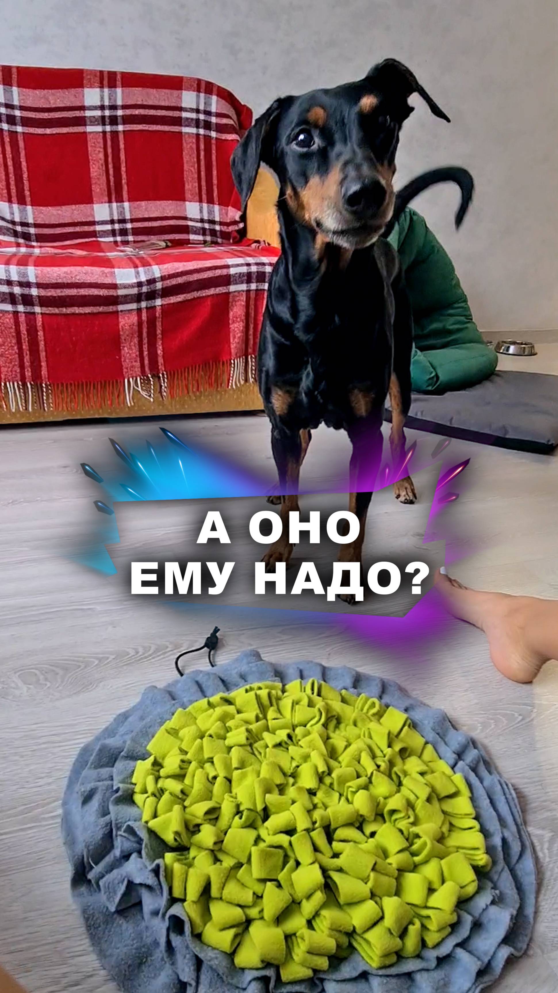 Не так уж это и полезно #животные смотреть онлайн