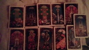 Семья Усольцевых пропала в тайге?