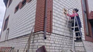 Кто жил у нас в доме? Подготовка сада и огород к зиме. Обрезаю ежевику. Мою и убираю теплицы.