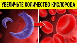 УВЕЛИЧЬТЕ ПРИТОК КРОВИ К ТЕЛУ | УВЕЛИЧЬТЕ КОЛИЧЕСТВО КИСЛОРОДА В КРОВИ.