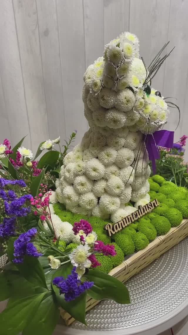 Кошечка из живых цветов смотреть онлайн