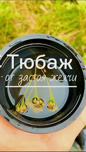 copy_667D5898-AC52-4960-B76C-F18B86620658