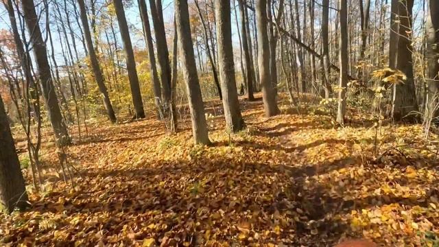 Перформанс в Ильинском