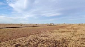 Самолет пчёлка-7