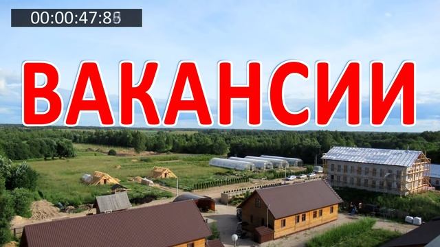 БЕССМЕРТНИК продлевает жизнь, восстанавливает печень, почки, желчный пузырь, работу ЖКТ и… смотреть онлайн