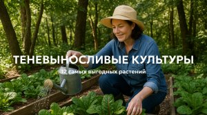 12 овощей для выращивания в тени  ⛅️