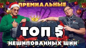 Топ-5 премиальных нешипованных шин