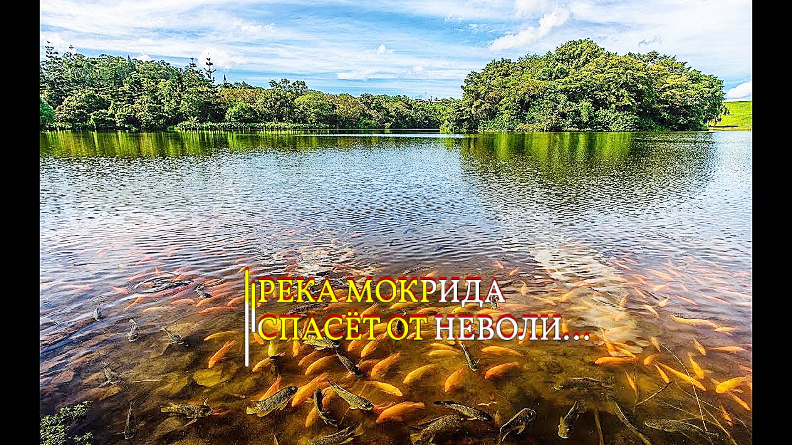 РЕКА МОКРИДА СПАСЁТ ОТ НЕВОЛИ... ДЛЯ ВСЕХ смотреть онлайн