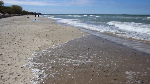 Уникальные места России. Куршская коса! смотреть онлайн