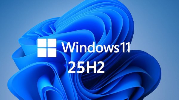 Как скачать с сайта Microsoft Windows 11 25H2