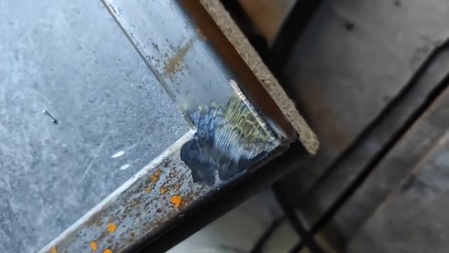 Полуавтомат 3 в 1 HITBOX HBM 1200