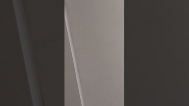 стрим в школе смотреть онлайн