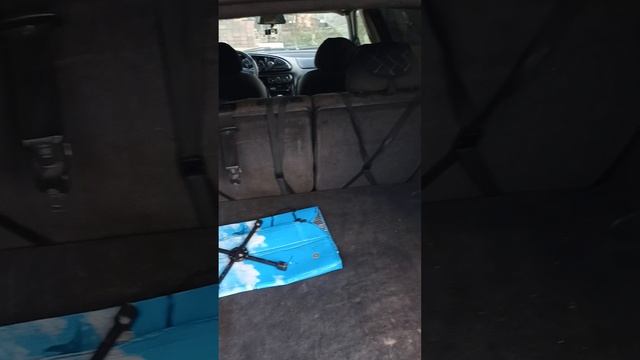 5835.mp4 смотреть онлайн