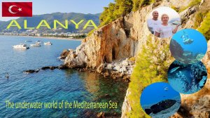 Подводная съёмка у пляжа Клеопатра в Аланье. Underwater shooting at Cleopatra beach in Alanya.