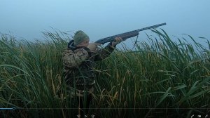 Охота на утку,  открытие 2025