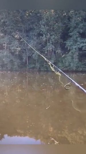 Дальний заброс