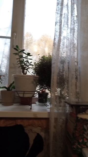 добро. завтрак 13.10.2025 смотреть онлайн