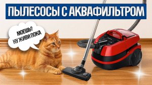 ТОП—5: Лучшие МОЮЩИЕ ПЫЛЕСОСЫ (2025) || Рейтинг лучших моющих пылесосов