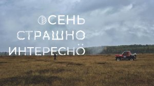 Вепсский лес 2025