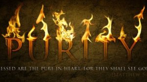 ЦЕЛОМУДРИЕ (ЧИСТОТА)