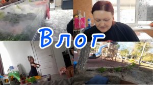 Влог 👌