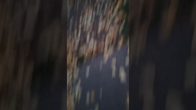 Я гуляю 1 часить смотреть онлайн