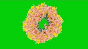 ФУТАЖ РОЗОВЫЕ РОЗЫ  НА ЗЕЛЕНОМ ФОНЕ / ХРОМАКЕЙ / ДЛЯ МОНТАЖА ВИДЕО