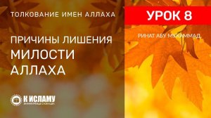 8) Причины лишения милости Аллаха | Ринат Абу Мухаммад