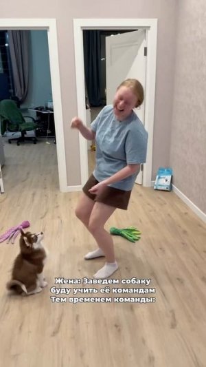 Какую ещё команду выучить? #морозовы #юмор #отношения #семья #собака