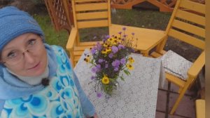 Видео привет с 6 соток 7 октября 2025 года.