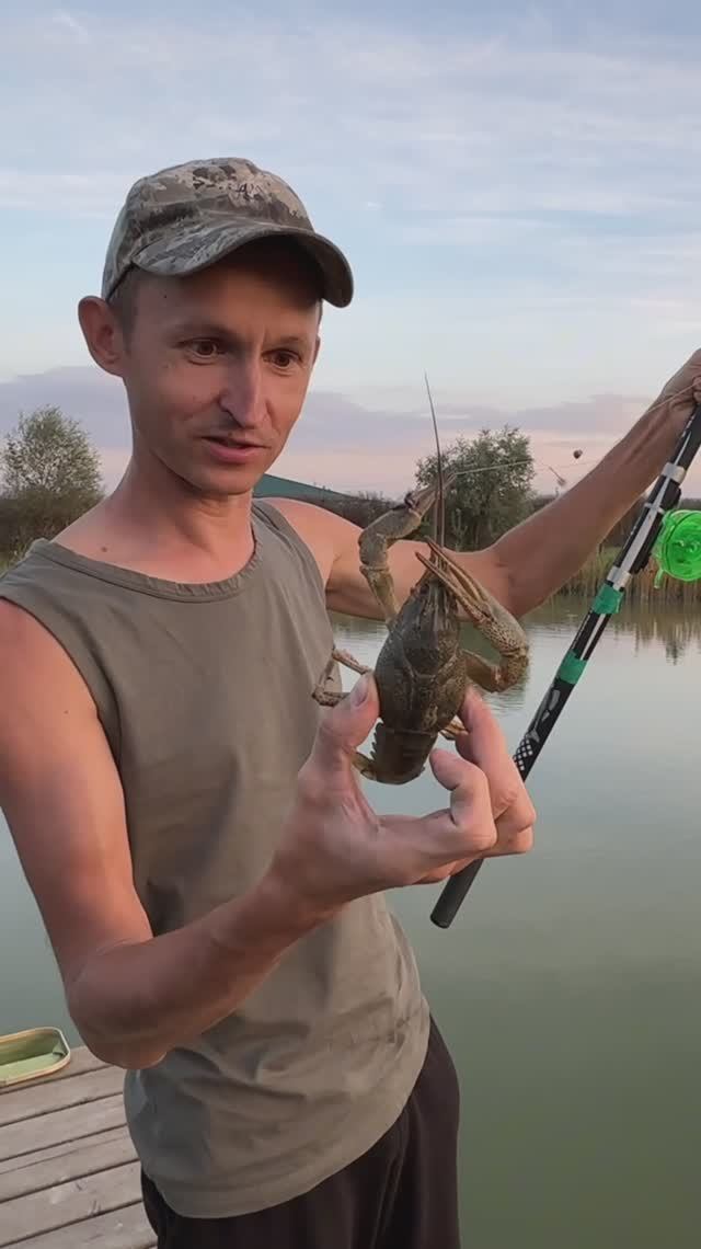 Вот какие раки выросли в моём дачном пруду за 3 года