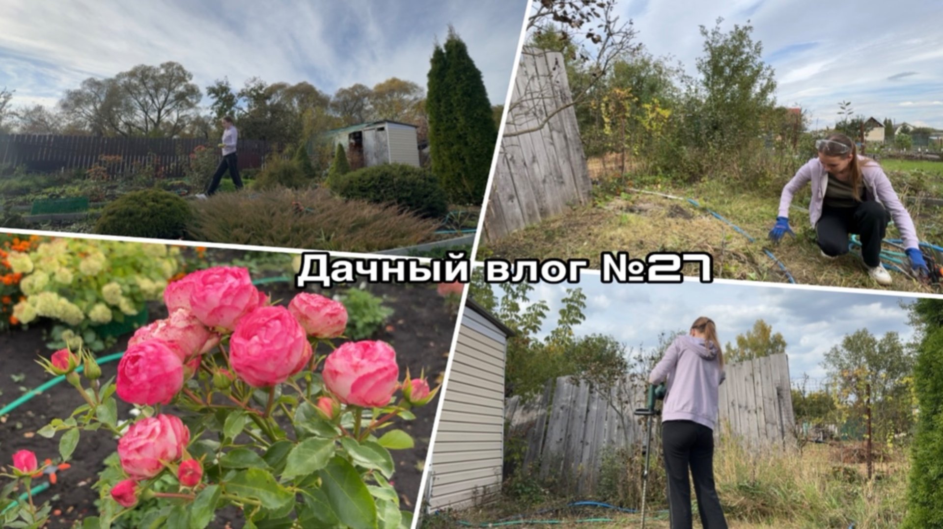 Дачный влог №27 🍓 Расчищаю участок|Завершение дачного сезона смотреть онлайн