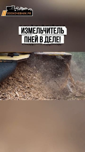 Измельчитель пней в деле! смотреть онлайн