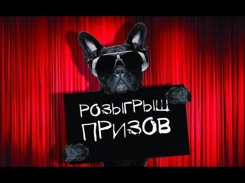 Розыгрыш призов от магазина Дом спорт 24 от 24.04.2016 смотреть онлайн