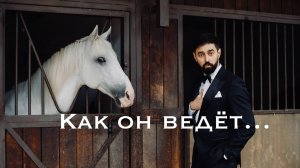 Ведущий на свадьбу - Фил Девишев. Live