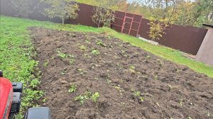 МТЗ 152. Пашем огород. Осень 2025 года.