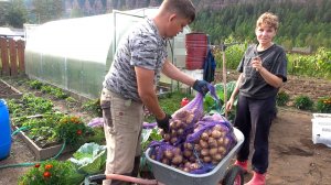 Отпуск позади работы валом