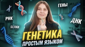 Как работают гены | ДНК, РНК и белки простым языком | Биология ЕГЭ | Умскул